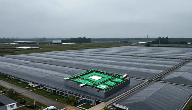 嵌入式软件开发中常见问题与应对策略